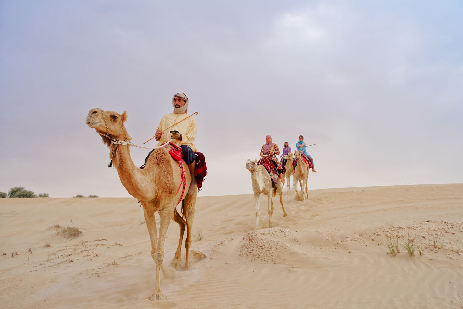 Visitors riding camels across sandy dunes